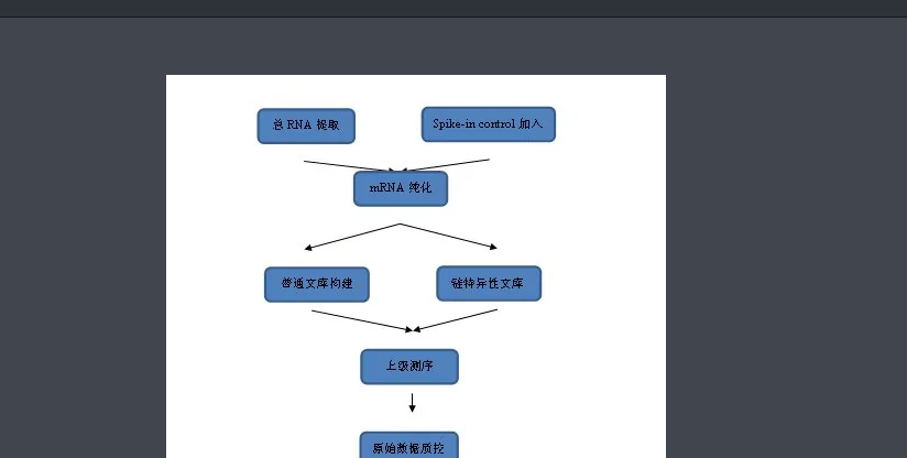 seq是什么意思？