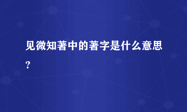 见微知著中的著字是什么意思？