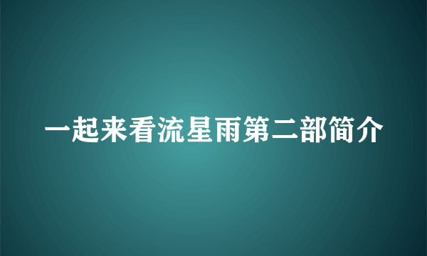 一起来看流星雨第二部简介