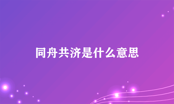 同舟共济是什么意思