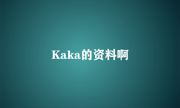 Kaka的资料啊