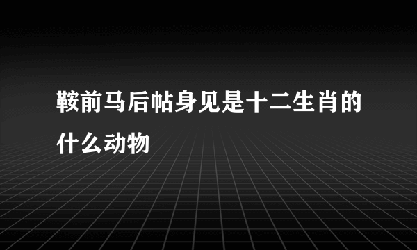 鞍前马后帖身见是十二生肖的什么动物