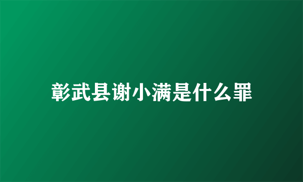 彰武县谢小满是什么罪