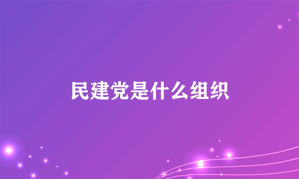 民建党是什么组织