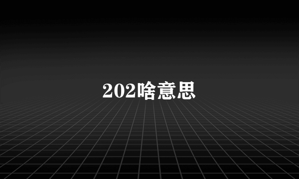 202啥意思