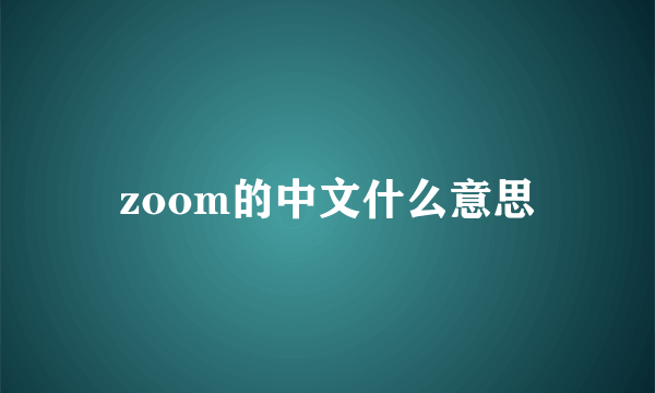 zoom的中文什么意思