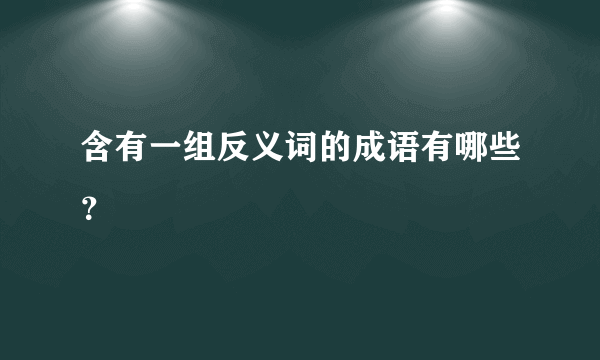 含有一组反义词的成语有哪些？