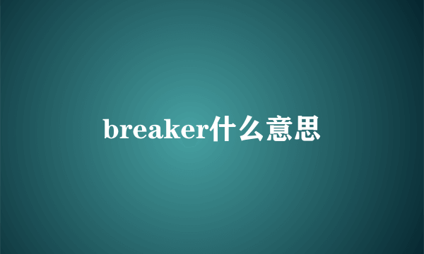 breaker什么意思