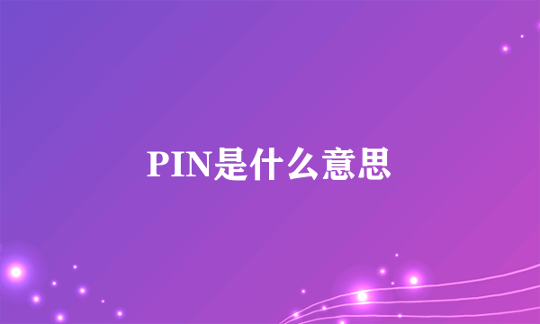 PIN是什么意思