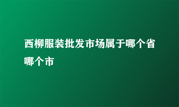 西柳服装批发市场属于哪个省哪个市