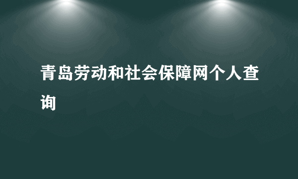 青岛劳动和社会保障网个人查询