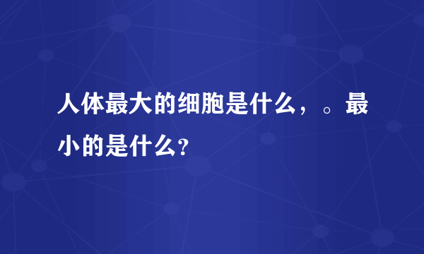 人体最大的细胞是什么，。最小的是什么？