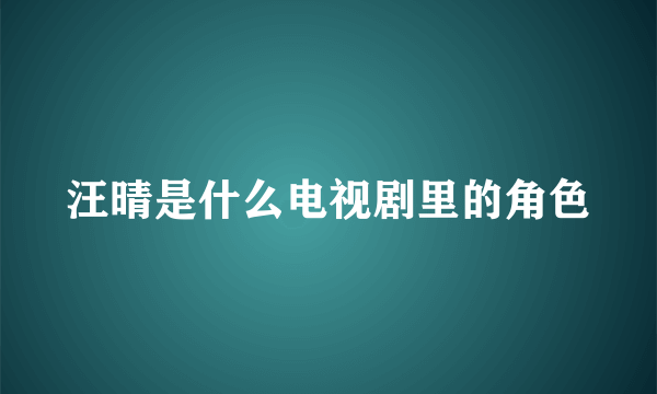 汪晴是什么电视剧里的角色