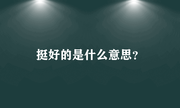 挺好的是什么意思？