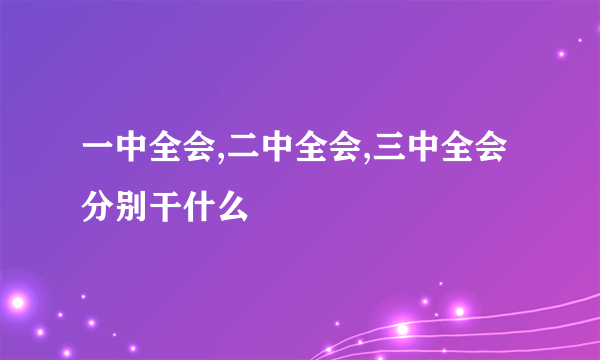 一中全会,二中全会,三中全会分别干什么