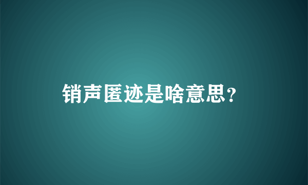 销声匿迹是啥意思？