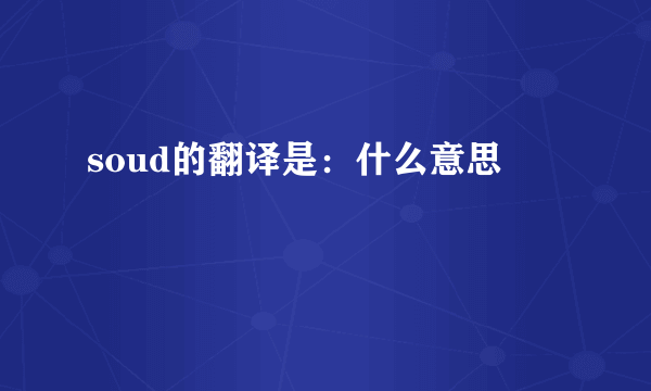 soud的翻译是：什么意思