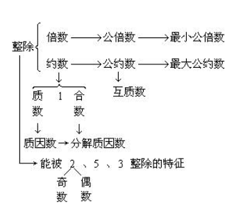 两数互质是什么意思