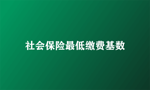 社会保险最低缴费基数