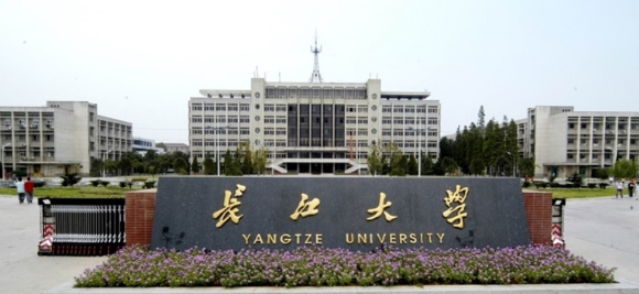 长江大学在全国的排名是多少？