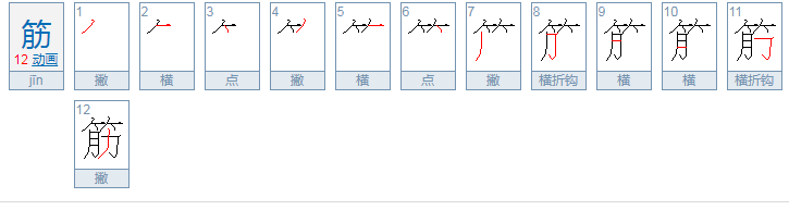 筋骨的拼音