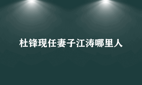 杜锋现任妻子江涛哪里人