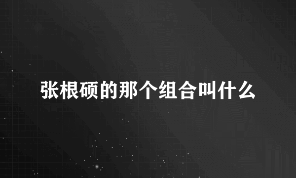 张根硕的那个组合叫什么