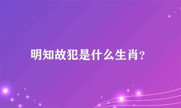 明知故犯是什么生肖？