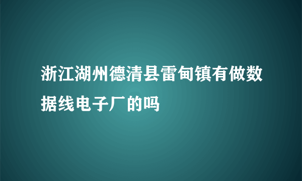 浙江湖州德清县雷甸镇有做数据线电子厂的吗