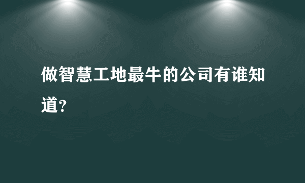 做智慧工地最牛的公司有谁知道？