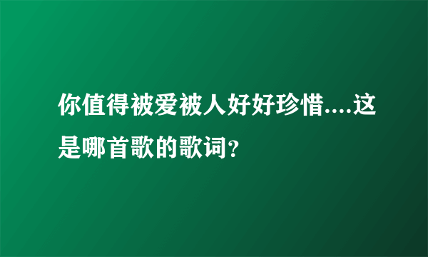 你值得被爱被人好好珍惜....这是哪首歌的歌词？