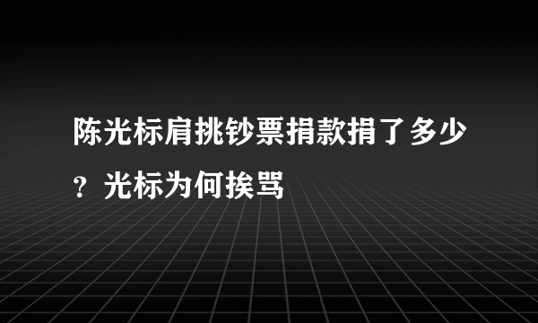 陈光标肩挑钞票捐款捐了多少？光标为何挨骂