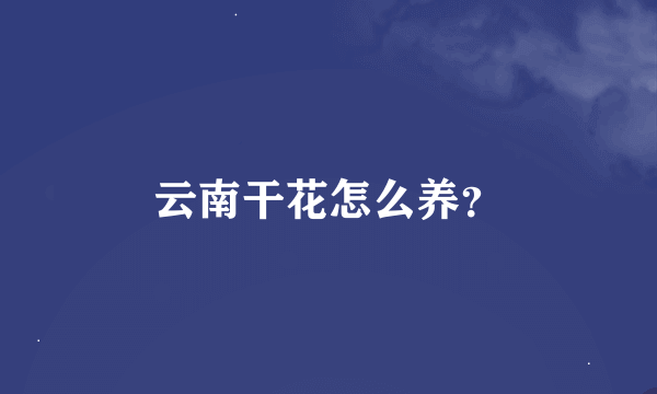 云南干花怎么养？