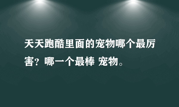 天天跑酷里面的宠物哪个最厉害？哪一个最棒 宠物。