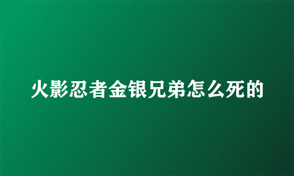 火影忍者金银兄弟怎么死的