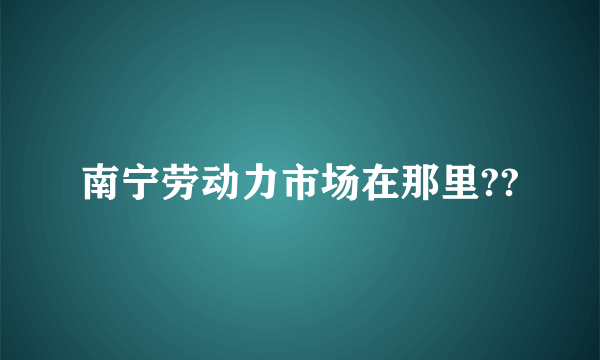 南宁劳动力市场在那里??