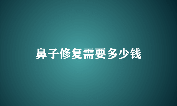 鼻子修复需要多少钱