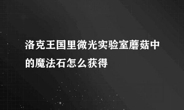 洛克王国里微光实验室蘑菇中的魔法石怎么获得