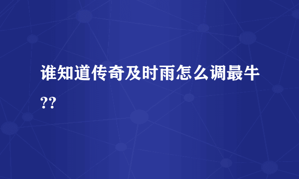 谁知道传奇及时雨怎么调最牛??