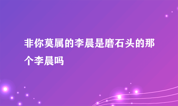 非你莫属的李晨是磨石头的那个李晨吗