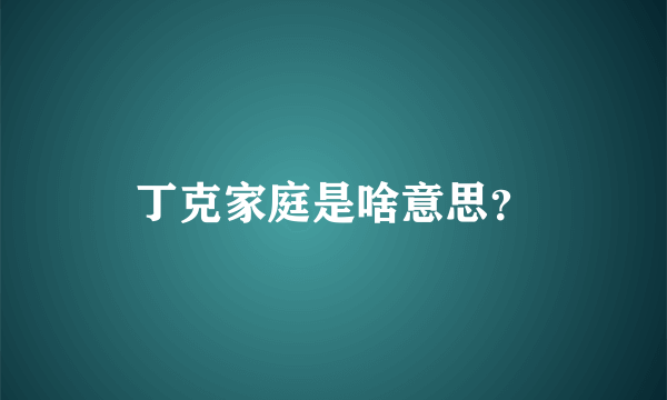 丁克家庭是啥意思？