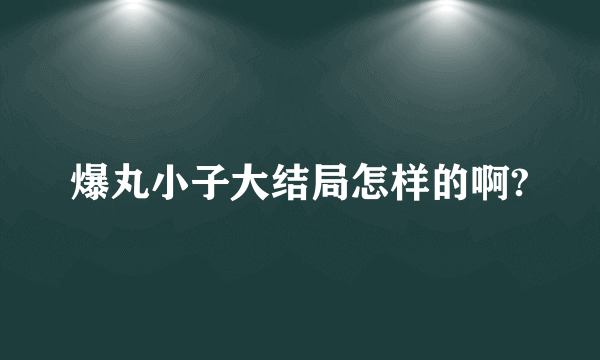 爆丸小子大结局怎样的啊?