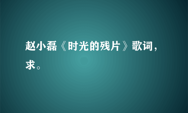 赵小磊《时光的残片》歌词，求。