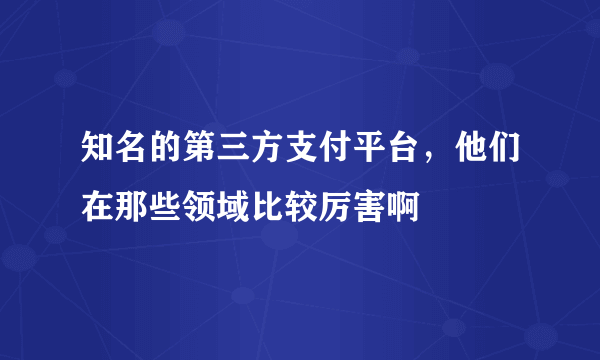 知名的第三方支付平台，他们在那些领域比较厉害啊