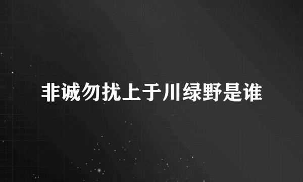 非诚勿扰上于川绿野是谁