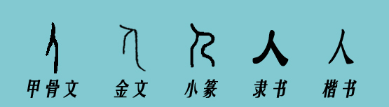 汉字的演变过程（100字到150字）