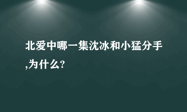 北爱中哪一集沈冰和小猛分手,为什么?