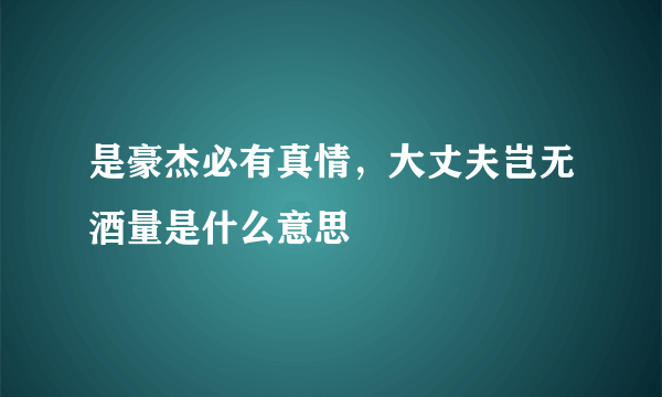 是豪杰必有真情，大丈夫岂无酒量是什么意思