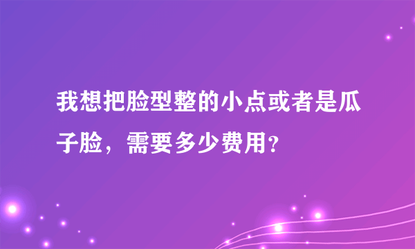 我想把脸型整的小点或者是瓜子脸，需要多少费用？