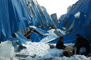 辽宁一农贸市场因强降雪坍塌，造成的经济损失严重吗？